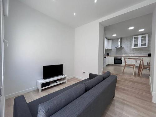 Large Apartment in Madrid - Boto