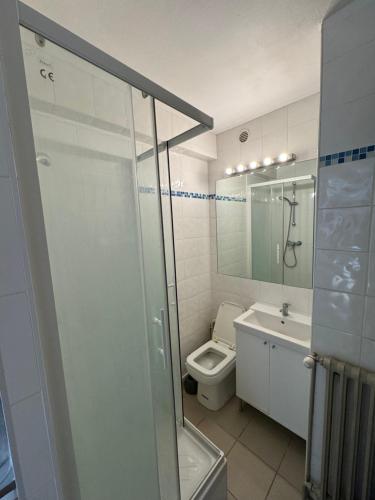 une salle de bain avec une douche, des toilettes et un lavabo dans l'établissement Studio pour étudiant 27, à Valence