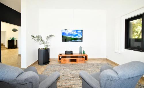 TV a/nebo společenská místnost v ubytování Domaine de la Falaise private villa