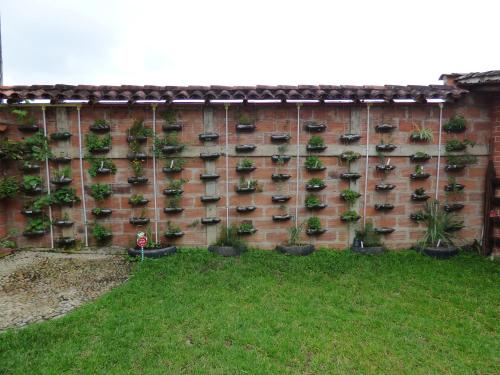 Hotel Kantarrana Urbana Jardinにある庭