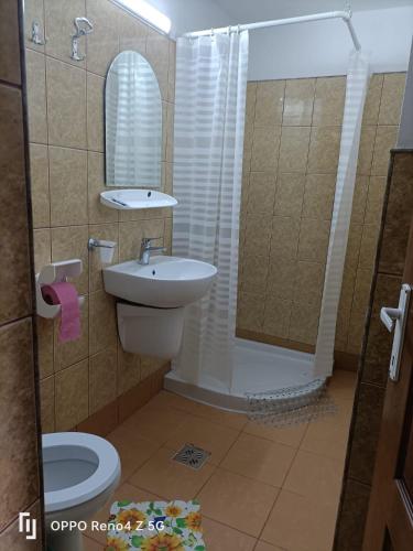a bathroom with a sink and a toilet and a shower at Pensiunea Margaritar in Predeal