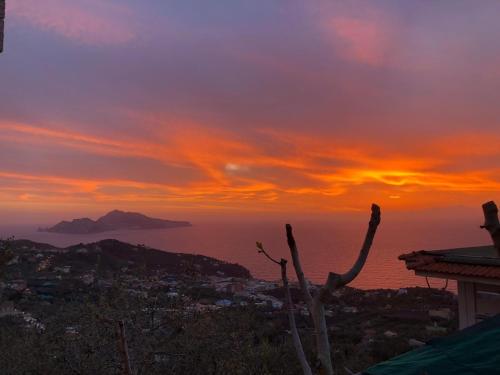 a view of a sunset with a cactus at Al Calar del Sole in Massa Lubrense