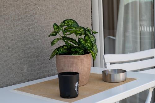Spacious 2 BR apartment next to Acropolis