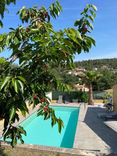 une piscine bleue avec un arbre à côté dans l'établissement Gîte la Villa Cerisier, à Cabasse