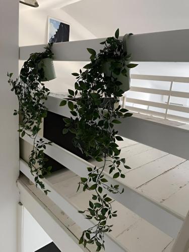 a plant climbing up the side of a staircase at Casa PG - Appartamento Vista Lago in Monte Isola