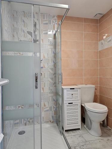 une salle de bain avec toilettes et douche en verre dans l'établissement Les Hirondelles, à Châtillon-sur-Cher