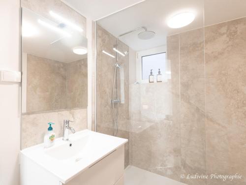 une salle de bain blanche avec un lavabo et une douche dans l'établissement Cozy aux 3 frontières, à Sierck-les-Bains