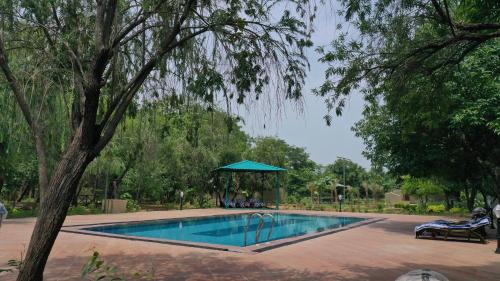 Piscina en o cerca de Tathastu Bandhavgarh