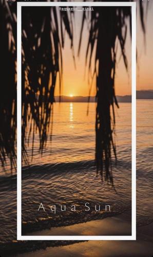 a sunset on the beach with a palm tree at Aqua Sun in Nuweiba