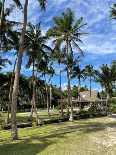 a group of palm trees in front of a house at Tambua Sands Beach Resort in Korotogo