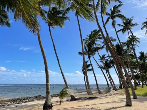 a hammock on a beach with palm trees at Tambua Sands Beach Resort in Korotogo