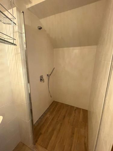 a bathroom with a shower and a walk in closet at Noclegi pod Słonecznikiem in Gąsawa