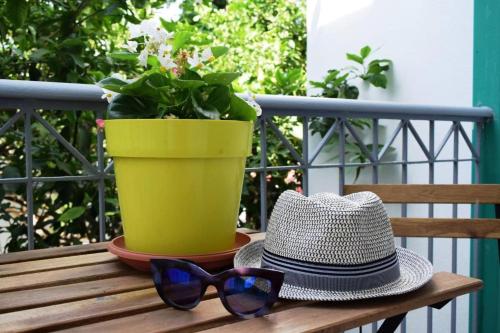 a hat and sunglasses sitting on a wooden bench with a potted plant at Lefka Hotel & Apartments in Rhodes Town