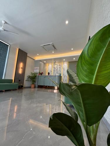 a lobby with a large green plant in the middle at RED CARPET CLASSIC HOSPITALITY LLP in Māndvi
