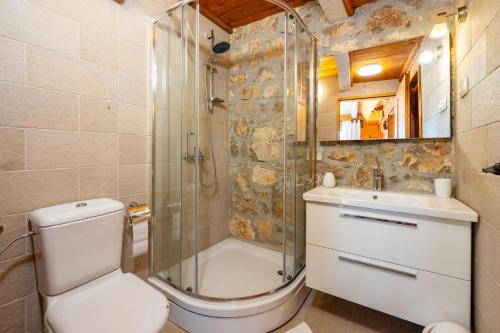 Un baño con ducha, inodoro y lavabo. en Wine Garden House, en Grižane