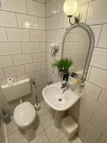 a white bathroom with a toilet and a sink at 't Eekhoornnest in Soest