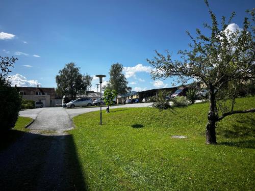 a tree in the grass next to a street at Schloss Apartment Lankowitz in Maria Lankowitz