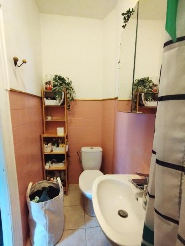 une salle de bain avec toilettes et lavabo dans l'établissement City colorful flat, à Montpellier
