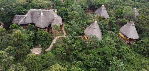 Gallery image of Kibale Tourist Safari Lodge in Bigodi