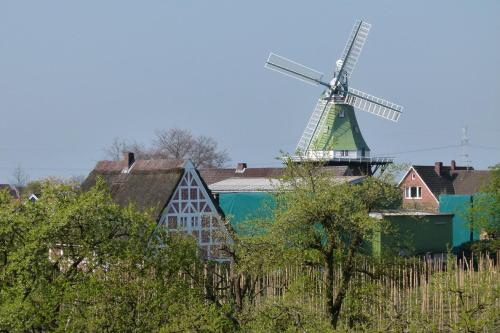 a windmill in front of a building with trees at Ferienwohnung Faby in Hollern-Twielenfleth