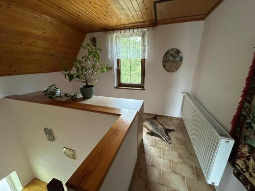 Fotografie z fotogalerie ubytování Chata Bedřiška v Šumperku