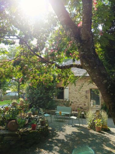 un patio avec une table et des chaises sous un arbre dans l'établissement Séjour à la Marronnie, à Saint-Germain-les-Vergnes