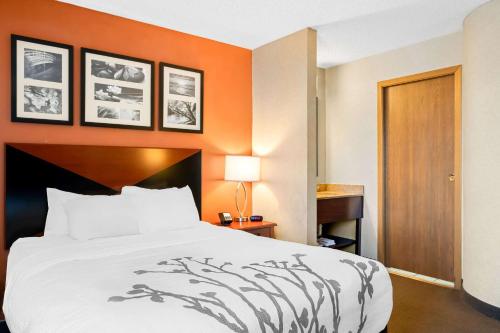 a hotel room with a bed and orange walls at Sleep Inn Billings in Billings