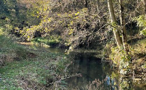 a river in the middle of a forest at Restful Riverside Home in Lincolnshire