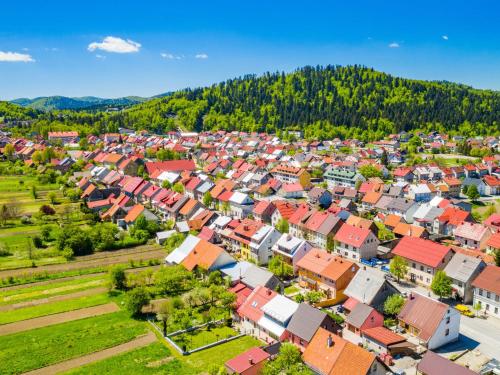 an aerial view of a town with houses at Holiday Home Vuk by Interhome in Kupjak
