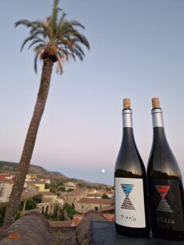 two bottles of wine sitting next to a palm tree at Casa Susanna Rural Sardinia in Sini