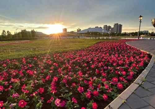 a field of pink flowers with the sunset in the background at Отель у Ботанического Сада, в самом центре in Astana