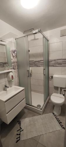 a bathroom with a shower and a sink and a toilet at Pansion Bijela Ruža - a la carte in Ravna Gora