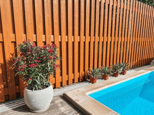 a vase with flowers sitting next to a swimming pool at Vila Ambasada in Šventoji