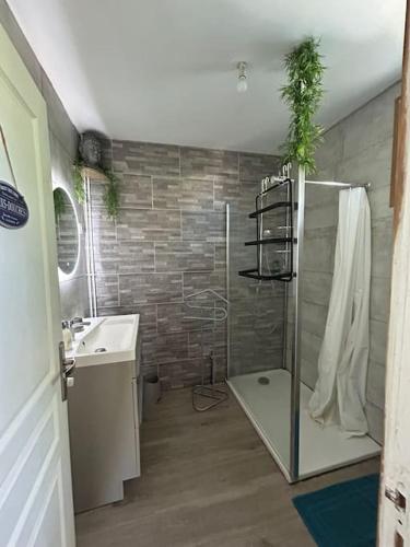 une salle de bain avec douche et lavabo dans l'établissement Le repère, 400m aéroport, 2 chambres, à Tillé
