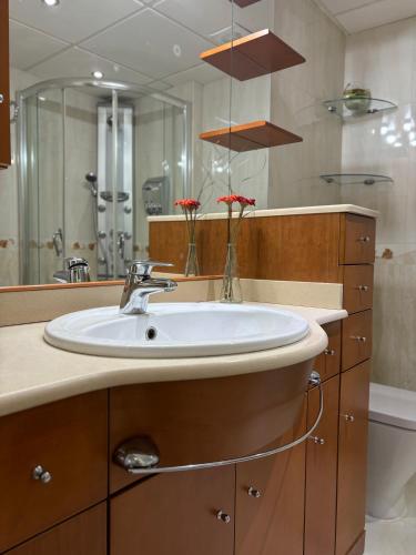 a bathroom with a sink and a mirror at Apartamento Boutique Plaza Mayor in Ciudad-Rodrigo