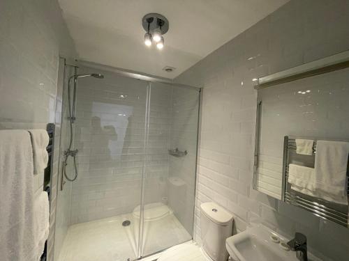 a bathroom with a shower and a toilet and a sink at Croft House Apartments in Hastings