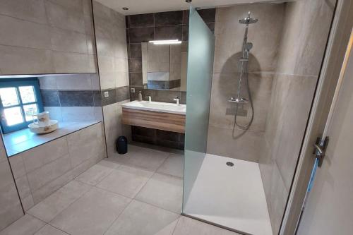 a bathroom with a shower and a sink at Gite 8 personnes Ussel Grande Maison rénovée in Ussel