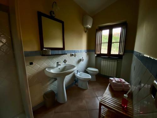 a bathroom with a sink and a toilet and a mirror at Agriturismo Francemili in Cerreto Sannita
