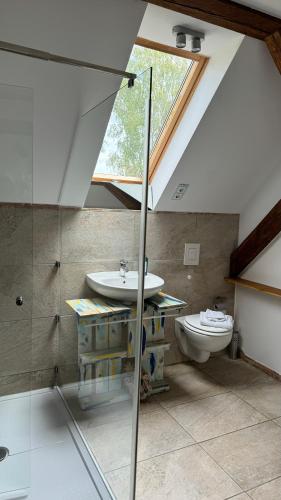 a bathroom with a sink and a toilet in a attic at Ferienwohnung - Der Schwarzstorch in Fehrbellin