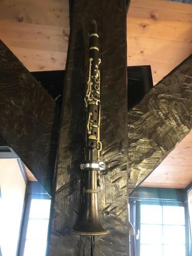 a saxophone hanging from the ceiling of a room at Ferienwohnung TURMZIMMER im Rittergut Leppersdorf bei Radeberg in Wachau