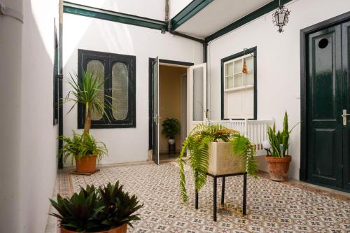 Casa Los Profesores, Typical Canarian House