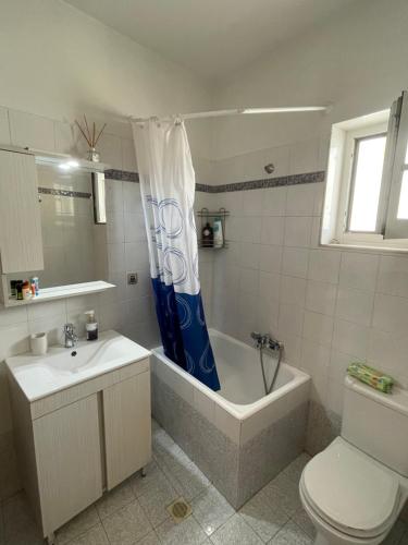 Central Apartment