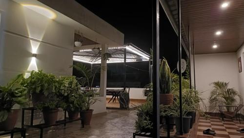 a room filled with lots of plants in a building at Areca Homestay in Guwahati
