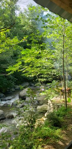 a stream with a bench next to a river at Venera's Guest House in Batumi