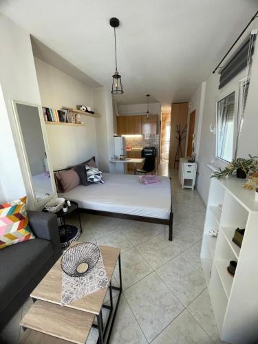 Central Apartment