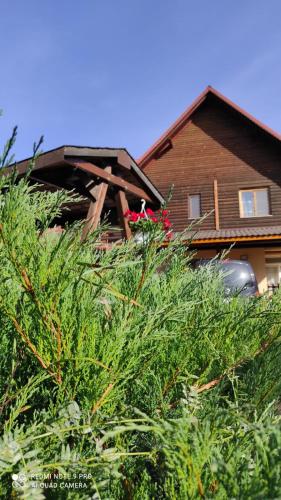 a house with a tree in front of it at Pensiunea Emilia in Suceviţa