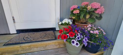 three pots of flowers sitting on a doorstep at Huset i Stamsund in Rishaugen