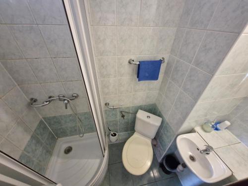 a bathroom with a shower and a toilet and a sink at Penzion Flipper in Revúca