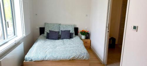 une chambre avec un lit avec des oreillers bleus et une fenêtre dans l'établissement Grand studio parking-bord de Loire- hyper centre, à Orléans