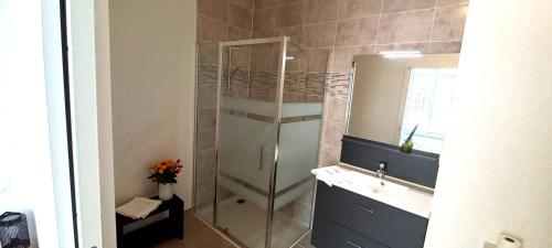 une salle de bain avec douche et lavabo dans l'établissement Grand studio parking-bord de Loire- hyper centre, à Orléans